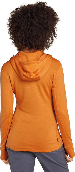 Immagine prodotto Icebreaker Donne Merino Mer 260 Quantum IV LS Zip Ho (S)