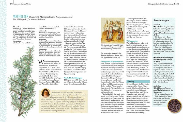 Produktbild Die bewährte Heilkunde der Hildegard von Bingen (Deutsch, Rainer Köthe, 2018)