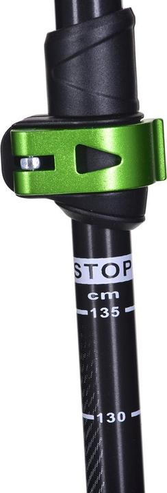 Actual product image Viking Kiwi trekking sticks