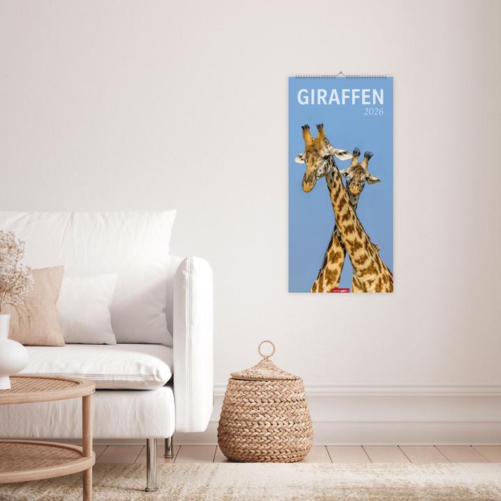 Produktbild Giraffen Kalender 2026 (33 x 68 cm)