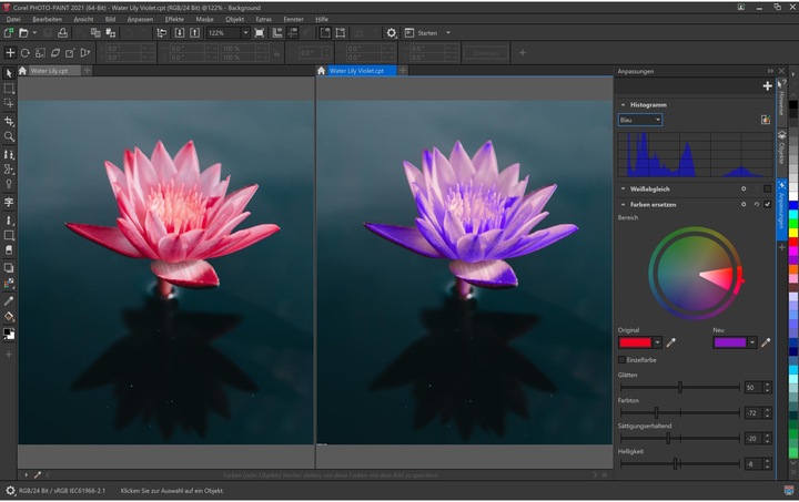 Immagine prodotto Corel Draw Graphics Suite 2021 Box, versione completa, MAC (1 Utente, Senza limiti)