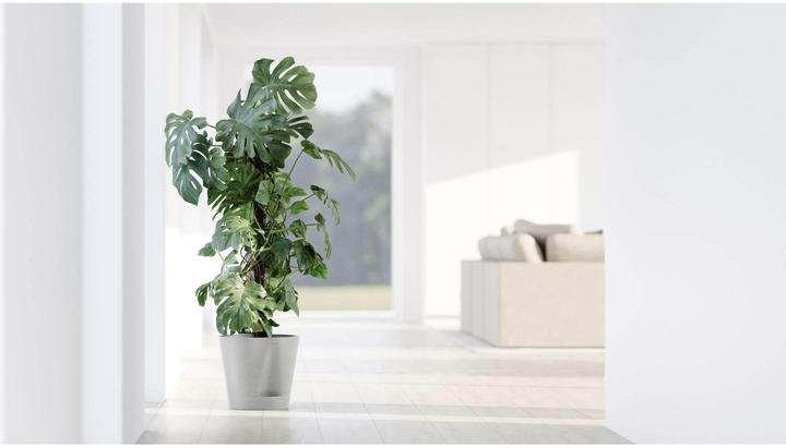 Produktbild Ecopots Venice 2 (30 x 27.50 cm)