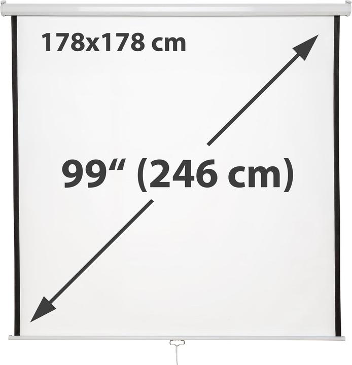 Actual product image tectake Rollo Beamer Screen (84.25", 1:1)