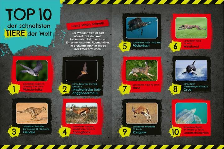 Produktbild Das schnellste Stickerheft der Welt