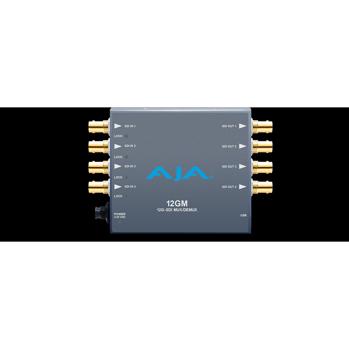 AJA 12GM (Kamera Konverter), Video Converter
