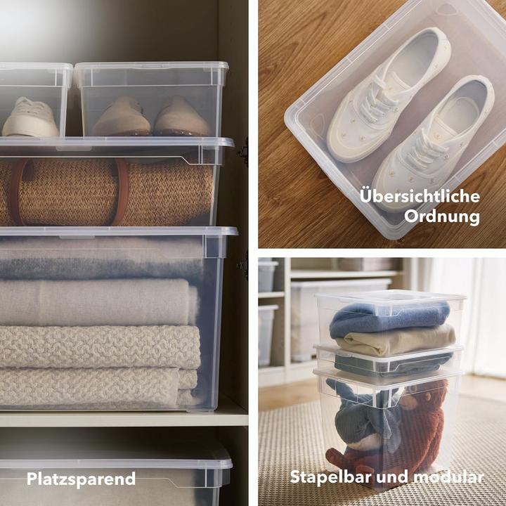 Immagine prodotto Rotho Aufbewahrungsbox Clearbox 5 l, 12 Stück (33.50 cm, 60 l, 12x)