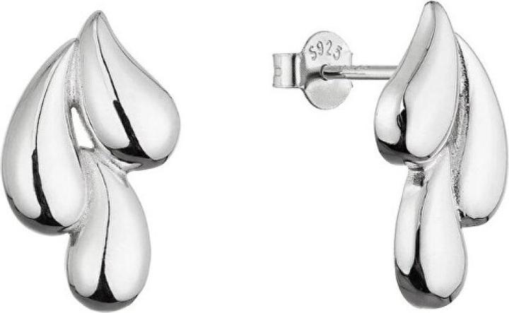 Actual product image Evolution Group - Silver Drop Dangle Earrings 61083 (Silver)
