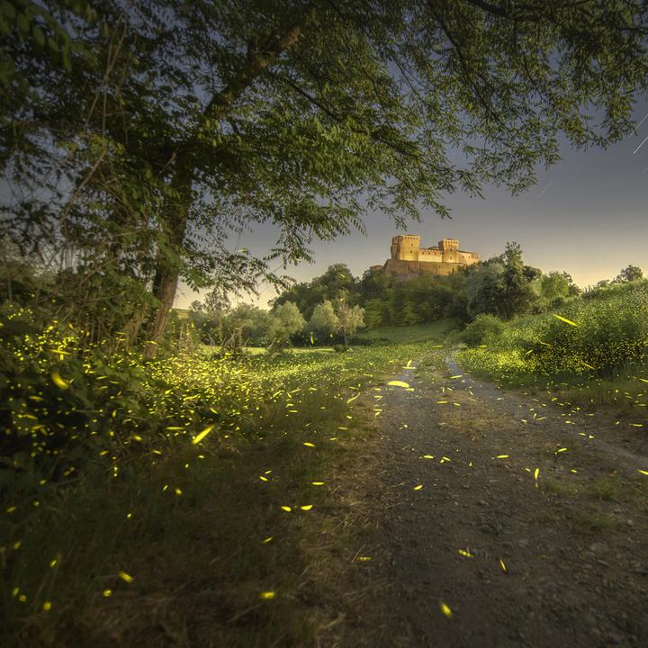 Produktbild Venus Optic Lernset G5 Off-Road 4x4 Automodell (Nikon F, Vollformat)