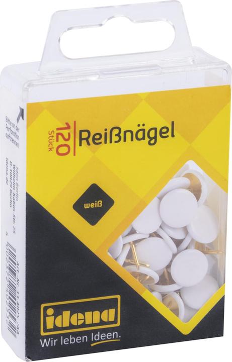 Actual product image Idena Drawing pins white 120 pieces (120 pcs., 20 mm)