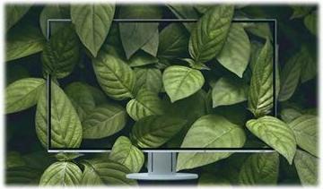 Actual product image Eizo EV2360 FlexScan (1920 x 1200 pixels, 23")