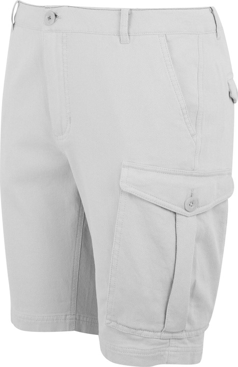 Actual product image Regatta Mens Bendrick Shorts (32)
