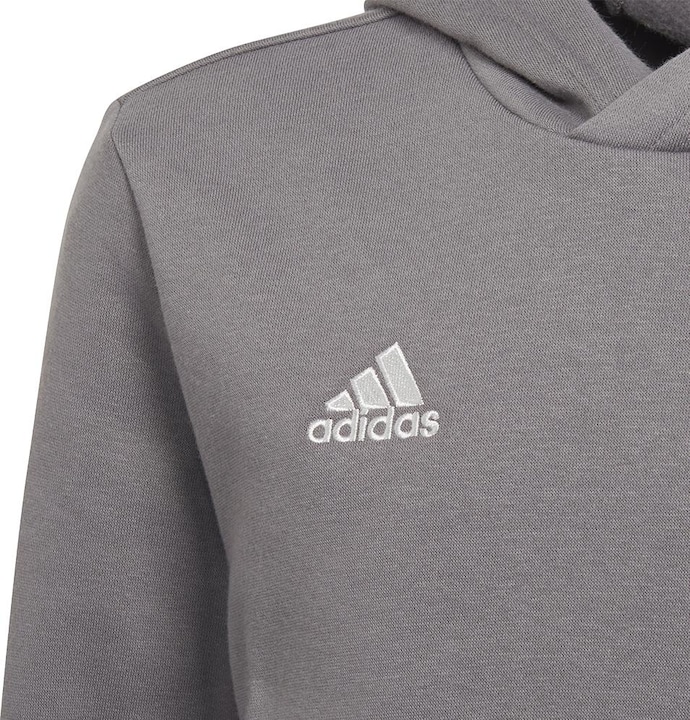 Actual product image adidas Entrada 22 hoodie kids (128)