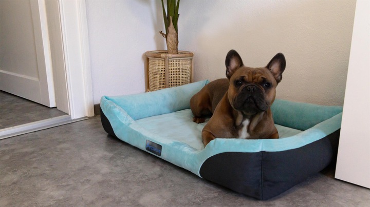 Actual product image Aspero Dog Bed Hanko - 8611 (Dog)