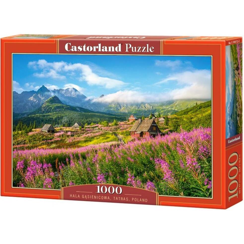 Castorland Hala Gsienicowa, Tatras, Poland, Puzzle 1000 Teile (1000 Teile)