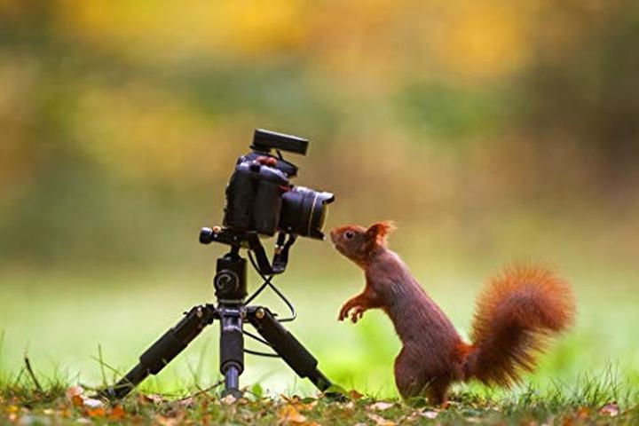 Produktbild Rollei Compact Traveler Mini M1 (Metall)