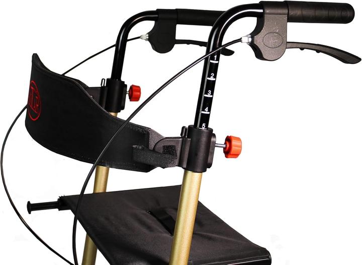 Actual product image Antar AT51044 aluminum walker gold