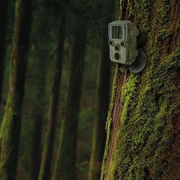 Image du produit Braun Photo Scouting Cam Black800 mini