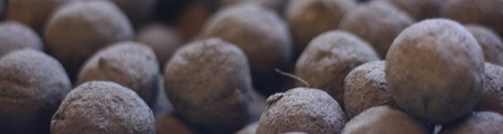 Image du produit Gorilla Gardening Seedballs (Germe de bombe)