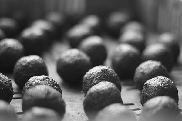 Image du produit Gorilla Gardening Seedballs (Germe de bombe)