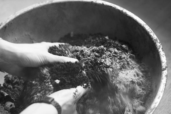 Image du produit Gorilla Gardening Seedballs (Germe de bombe)