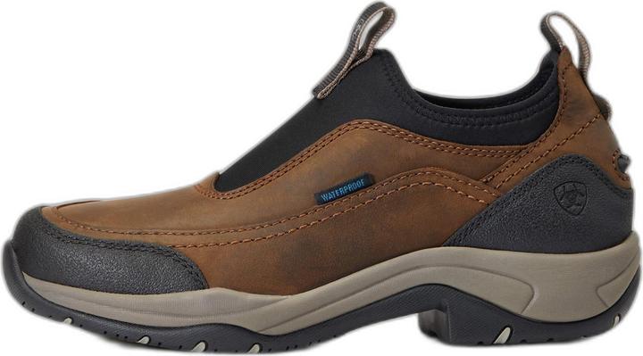 Image du produit Ariat Terrain Ease H2O (36.5)