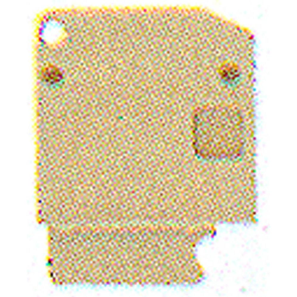 WeidmüLler Piastra Terminale Weidmller Ap PPT/35 Contenuto: 10 Pezzi (3835120000), Accessori Di Elettronica + Alloggiamento, Grigio