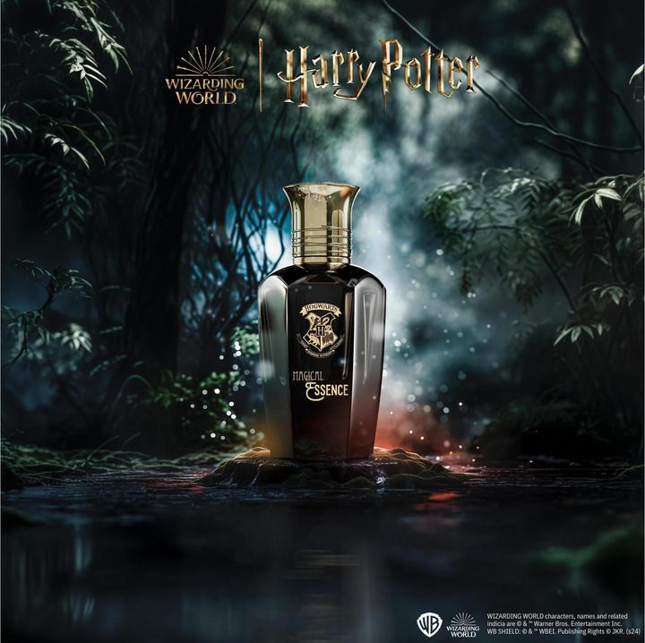 Immagine prodotto Magical Essence - Man Ambition EdP (Eau de parfum, 50 ml)