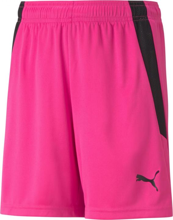 Actual product image Puma teamLIGA Shorts Jr-704931 (176)