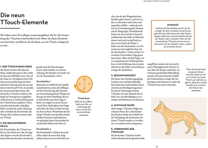 Produktbild Kosmos Tellington-Training für Hunde (Deutsch, Linda Tellington-Jones, 2024)