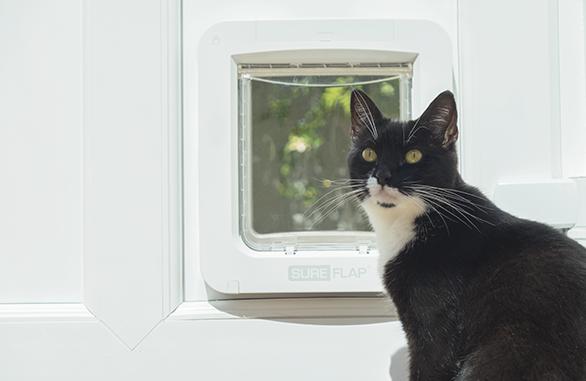 Produktbild SureFlap Haustierklappe Connect (Mikrochip Katzenklappe)