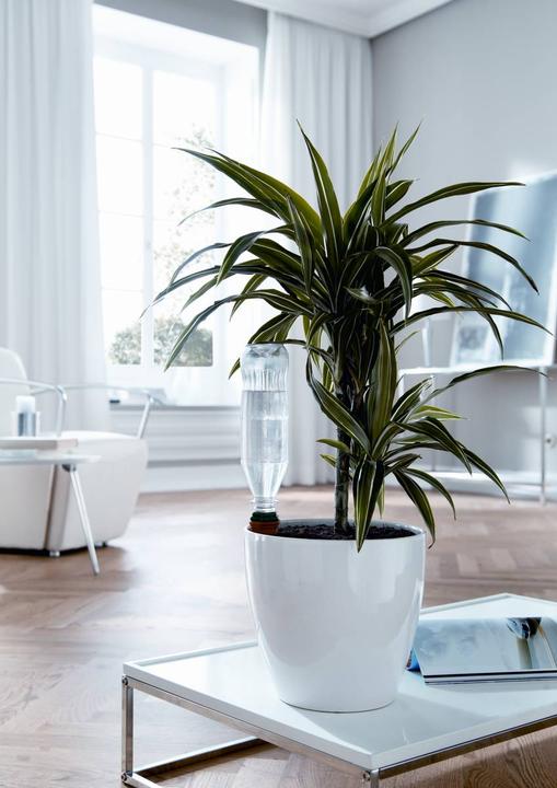 Actual product image Bio Green Hydro Classic