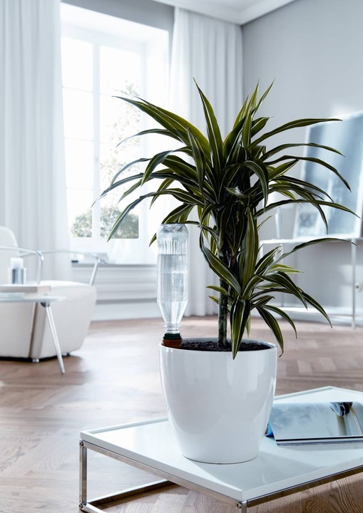 Image du produit Bio Green Hydro Classic (Refroidisseur d'eau)