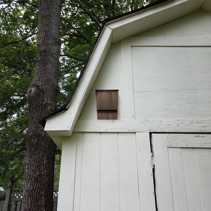 Produktbild Relaxdays Fledermauskasten