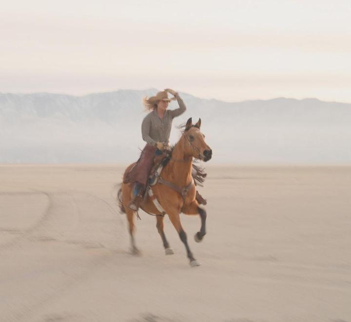 Immagine prodotto PolarPro Portra True Colour PL + White Mist 1/4 - 67mm (67 mm, Filtri polarizzanti, Filtro Effetto)