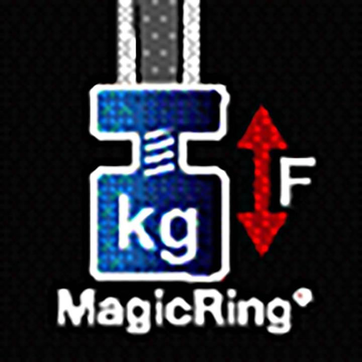 Actual product image Wiha Inside TORX Angle screwdriver (TX)