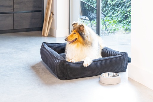 Productafbeelding Designed by Lotte Geribbeld (Hond)