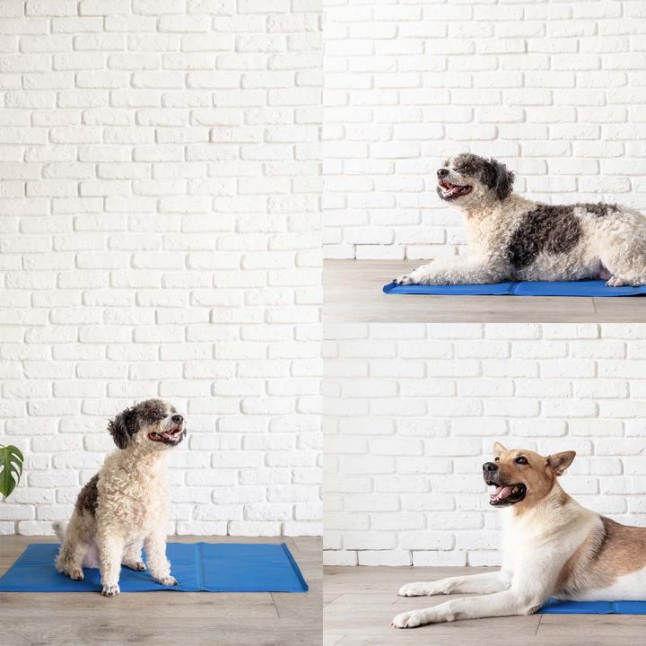 Produktbild Fudajo Kühlmatte (Katze, Hund)