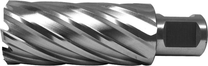 Actual product image Paulimot HSS-Kernbohrer mit Bohrtiefe 55 mm, Ø 29 mm (29 millimetres)