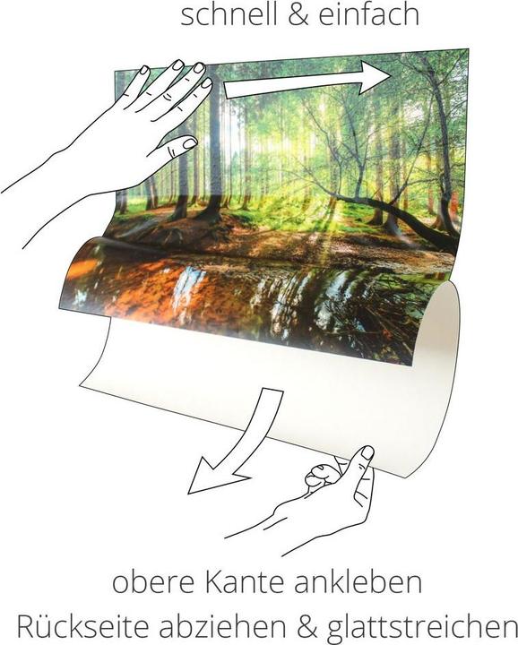 Image du produit Artland Poster Chemin dans le jardin de Monet à Giverny. 1902 T6UD 70x70 cm (50x50 cm)