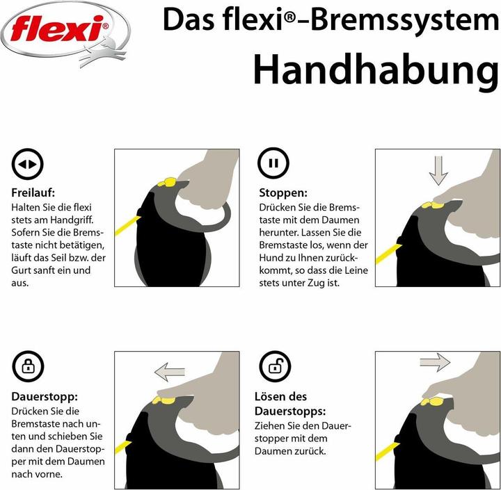 Actual product image Flexi Giant (Dog, Walks)