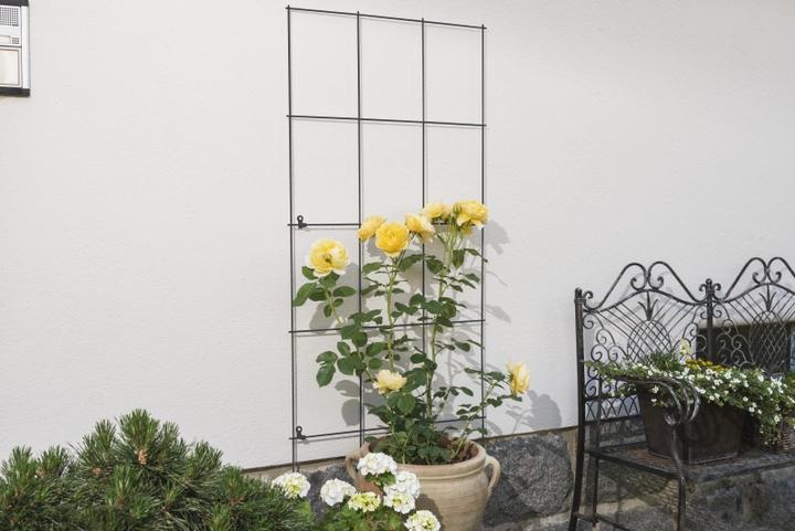 Immagine prodotto Windhager Traliccio a traliccio (150 cm, 75 cm)