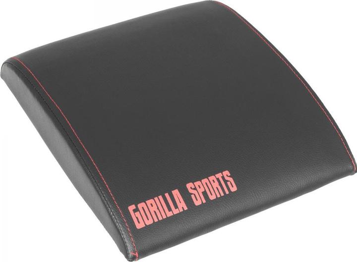 Gorilla Sports Sedersi da professionista