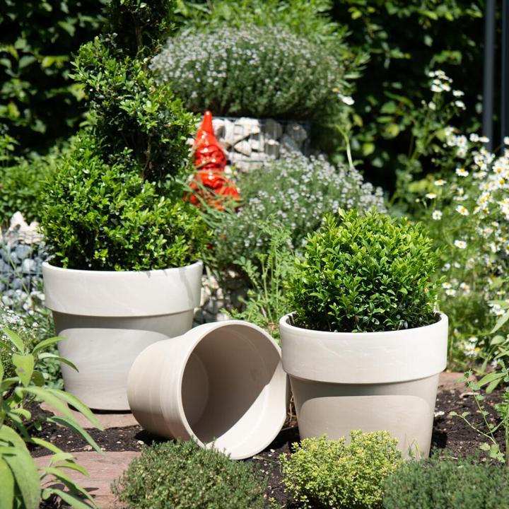 Produktbild Spang Calima Ton (29 x 24 cm)