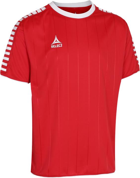 Produktbild Select Argentina Trikot (L)