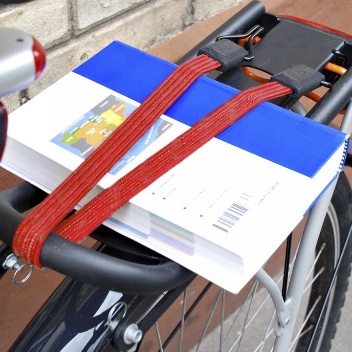 Actual product image Master Lock Rubber tension cable