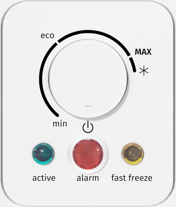 Actual product image Gorenje FH302CW Industrial Fridge Freezer Freestanding E (Stand-alone, 303 l)