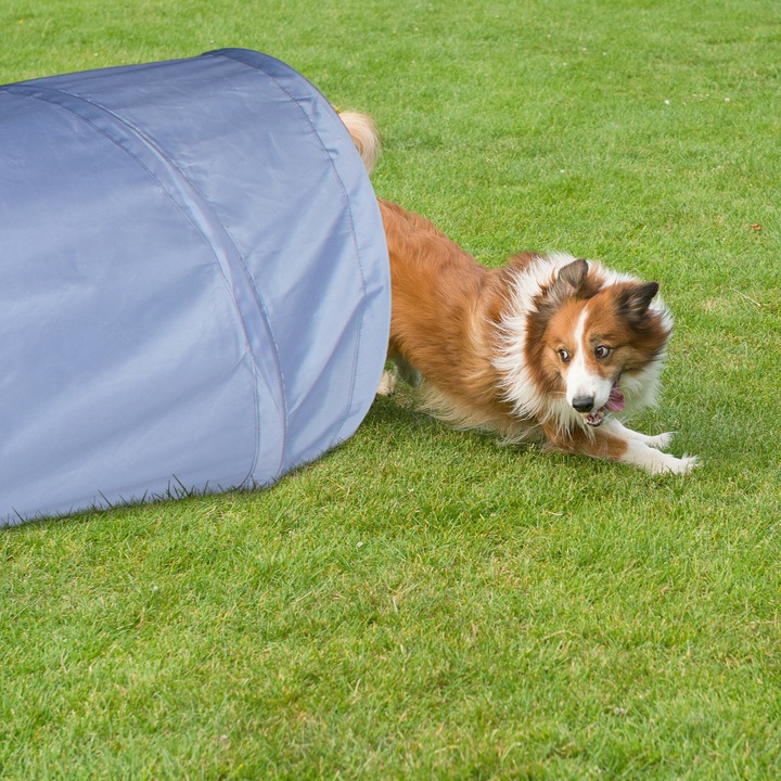 Produktbild Relaxdays Hundetunnel