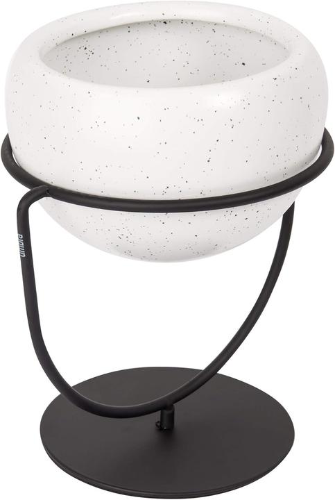 Actual product image Umbra Nesta (13.80 x 17 x 19.30 cm)