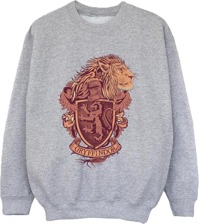 Produktbild Gryffindor Sketch Crest Sweatshirt Jungen (140, 146)