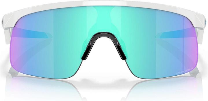 Actual product image Oakley Resistor (Polished white, Prizm Sapphires)